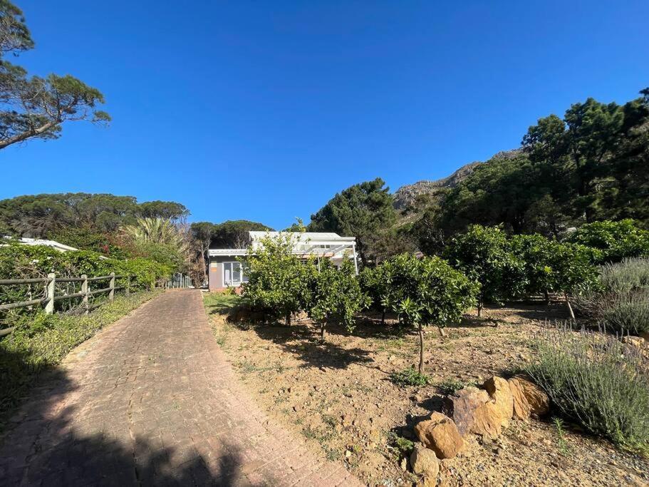 Apartment Loft With Seaview In Gordons Bay Cape Town