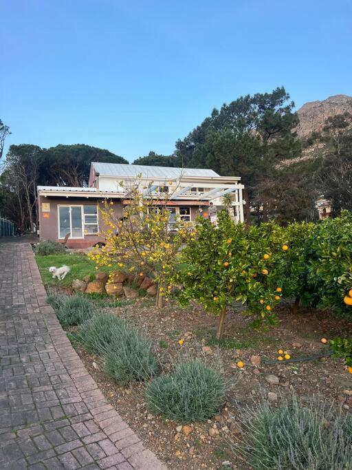 Apartment Loft With Seaview In Gordons Bay Cape Town
