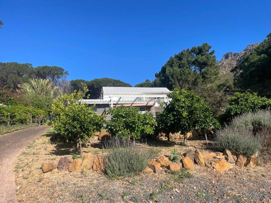 Apartment Loft With Seaview In Gordons Bay